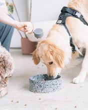 Load image into Gallery viewer, Salt & Pepper Ceramic Dog Bowl