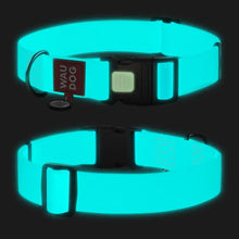 Charger l'image dans la galerie, WAUDOG - Waterproof Collar With Plastic Clasp