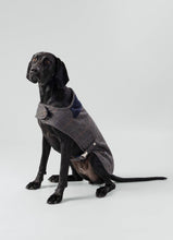 Load image into Gallery viewer, Hackett x Hugo Hudson - Grey Checked Tweed Dog Jacket/Veste pour chien en tweed à carreaux gris