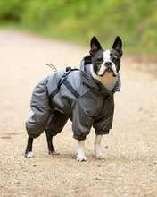 Load image into Gallery viewer, Hugo & Hudson - Winter Dog Snowsuit - Grey/Hugo & Hudson - Combinaison d'hiver pour chien - Gris