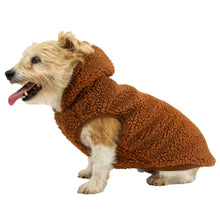 Load image into Gallery viewer, Ancol® - Teddy Sherpa Hoodie/Sweat à capuche Teddy Sherpa