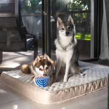 Charger l'image dans la galerie, Midlee - Hanukkah Menorah/Menorah de Hanoukka