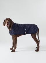 Charger l'image dans la galerie, Hackett x Hugo Hudson - Navy Quilted Dog Jacket/Blouson matelassée bleu marine pour chien