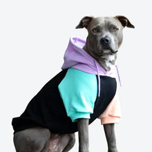 Load image into Gallery viewer, Spark Paws - Cyber Punk Dog Hoodie/Sweat à capuche Cyberpunk pour chien