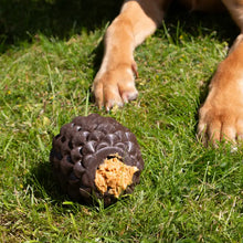 Load image into Gallery viewer, Ancol® - Örva Tuff Stuff Pine Cone/Pomme de pin Örva Tuff Stuff