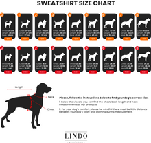 Load image into Gallery viewer, LINDODOGS - Suveter