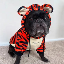 Load image into Gallery viewer, Spark Paws - Tiger/Tigre