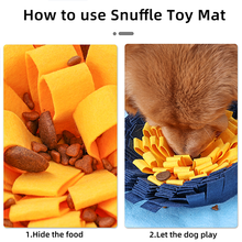 Load image into Gallery viewer, PawzNDogz™ Challenger Bone™ Limited Edition Snuffle Mat Challenge Level 4
