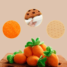 Load image into Gallery viewer, Nocciola - Food Dispensing Carrot Farm Enrichment Toy/Jouet d'enrichissement « Ferme de carottes distributeur de nourriture »