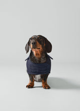 Charger l'image dans la galerie, Hackett x Hugo Hudson - Navy Quilted Dog Jacket/Blouson matelassée bleu marine pour chien