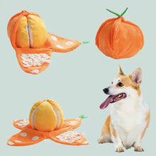 Charger l'image dans la galerie, Nocciola - Orange Hide and Seek Plush Dog Toy/Peluche Chien Cache-Cache Orange