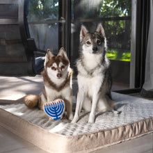 Charger l'image dans la galerie, Midlee - Hanukkah Menorah/Menorah de Hanoukka