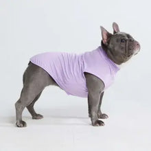 Charger l'image dans la galerie, Sunblock Dog T-Shirt/T-shirt pour chien avec protection solaire