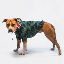 Load image into Gallery viewer, Spark Paws® Shark Monster Dog Hoodie - Green Camo/Sweat à capuche Shark Monster Dog - Camouflage vert