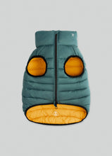 Load image into Gallery viewer, Hackett x Hugo Hudson Dog Puffer Jacket, Forest Green & Gold