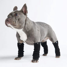 Charger l'image dans la galerie, Spark Paws - Leg Warmer/Guêtres