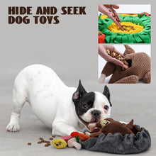 Load image into Gallery viewer, Nocciola - Snuffle Feeding Mat with Turkey/Tapis d'alimentation Snuffle avec dinde