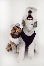 Load image into Gallery viewer, Midlee - Salt & Pepper Dog Costume/Costume de chien sel et poivre