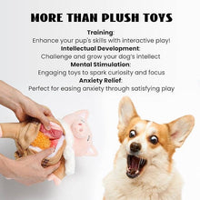 Load image into Gallery viewer, Nocciola - Stuffed Pig/Cochon Farci