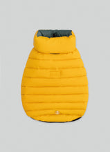 Load image into Gallery viewer, Hackett x Hugo Hudson Dog Puffer Jacket, Forest Green & Gold