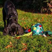 Load image into Gallery viewer, Ancol® - Örva Snuffle Ball