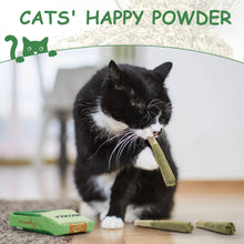 Charger l'image dans la galerie, Nocciola Green/Vert - 3 Pack Catnip Toys/Lot de 3 jouets en herbe à chat