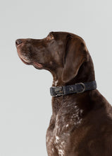 Load image into Gallery viewer, Hackett x Hugo & Hudson - Grey Checked Tweed Dog Collar/Collier pour chien en tweed à carreaux gris