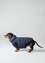 Load image into Gallery viewer, Hackett x Hugo Hudson Dog Puffer Jacket - Navy & Berry