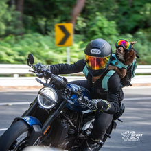 Load image into Gallery viewer, Plus 2 | Dog Carrier with Removable Storage