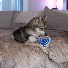 Charger l'image dans la galerie, Midlee - Hanukkah Menorah/Menorah de Hanoukka