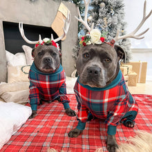 Load image into Gallery viewer, Spark Paws - Dog Pajama/Pyjama pour chien - Green and Red Plaid