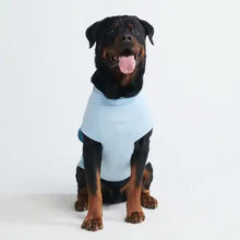 Charger l'image dans la galerie, Sunblock Dog T-Shirt/T-shirt pour chien avec protection solaire