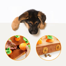 Load image into Gallery viewer, Nocciola - Food Dispensing Carrot Farm Enrichment Toy/Jouet d'enrichissement « Ferme de carottes distributeur de nourriture »