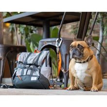Load image into Gallery viewer, Urban 3 - Dual Use Pet Carrier For Small To Medium Dogs/Cage de transport à double usage pour chiens de petite et moyenne taille
