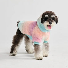 Load image into Gallery viewer, Spark Paws Fluffdreams - Blanket Dog Hoodie - Pastel Icing/Sweat à capuche pour chien avec couverture - Glaçage pastel