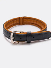 Charger l'image dans la galerie, Hugo & Hudson - Padded Black and Brown Leather Dog Collar/Collier pour chien rembourré en cuir noir et marron