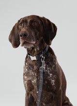 Load image into Gallery viewer, Hackett x Hugo Hudson - Grey Checked Tweed Dog Lead/Laisse pour chien en tweed à carreaux gris