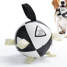 Charger l'image dans la galerie, Nocciola Magic Pup - Soccer Ball with Straps/Ballon de football avec sangles