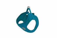 Load image into Gallery viewer, RC Pets - Cirque Step-In Harness/Cirque