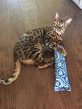 Load image into Gallery viewer, KrazyKitty® - Catnip Snuggle Sticks/Bâtonnets d'herbe à chat