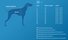 Load image into Gallery viewer, RC Pets - Baseline Fleece Pullover