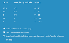 Load image into Gallery viewer, RCPets - Primary Clip Collars/Collier de base