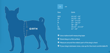 Load image into Gallery viewer, RC Pets - Cirque Step-In Harness/Cirque