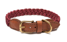 Load image into Gallery viewer, Knotty Pets - Braided Collar