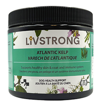 Load image into Gallery viewer, LIVSTRONG Atlantic Kelp Dog &amp; Cat Health Support (100g)
