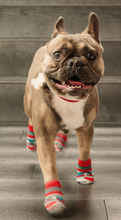 Charger l'image dans la galerie, RCPets Fun Pawks