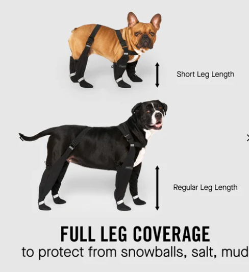 Canada pooch boots outlet