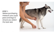Load image into Gallery viewer, Canada Pooch® Suspender Boots/Bottes à bretelles