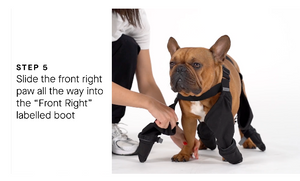 Canada Pooch® Suspender Boots - Black