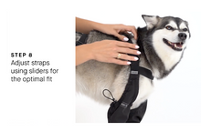Load image into Gallery viewer, Canada Pooch® Suspender Boots/Bottes à bretelles